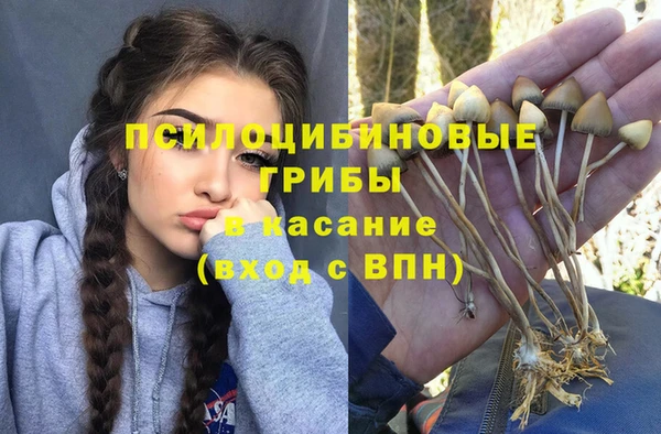 гашик Алексеевка