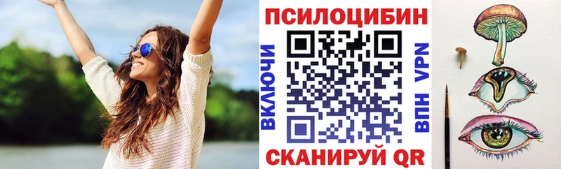 сайты даркнета Telegram  купить наркотики сайты  Лаишево  Псилоцибиновые грибы ЛСД 